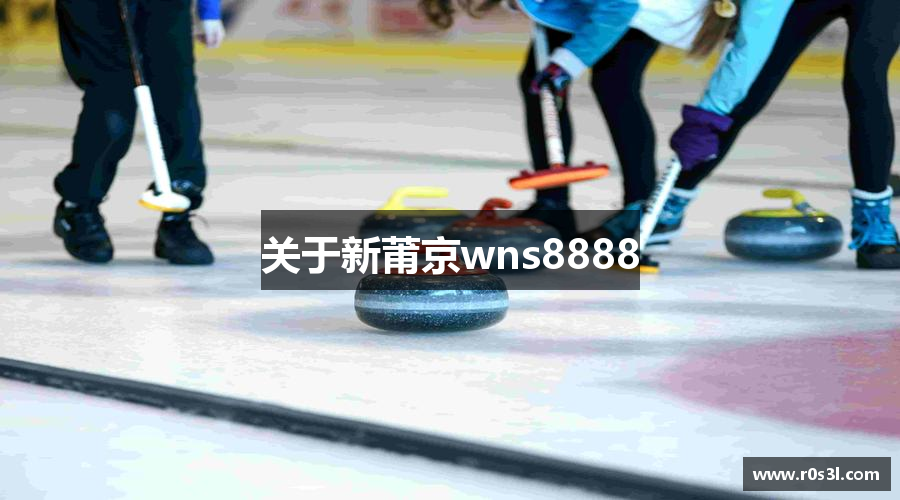 关于新莆京wns8888